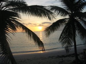 Laurie_McCauley_2_Nature